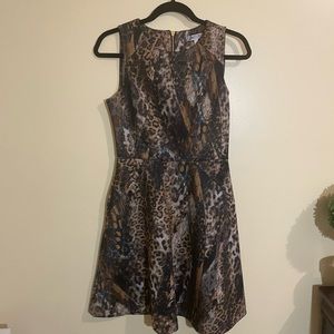 Women’s Jennifer Lopez Cheetah Print Dress